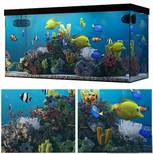 Seawater aquarium
